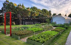 [9/17 어르신단체] 대장분교 치유텃밭 음식치유 미식체험