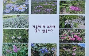 2026.9월 가을에 왜 보라색이 많을까.jpg
