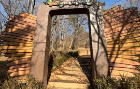 은데미 유아숲.jpg