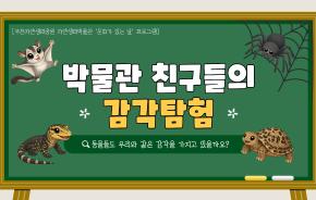 박물관 친구들의 감각탐험 홍보.jpg
