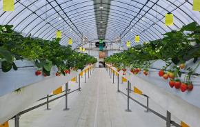 [4/16 유아단체] 고리울청춘농장 수확체험 프로그램 교육