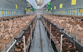 [9/29 어르신단체] 고리울청춘농장 수확체험 프로그램 교육